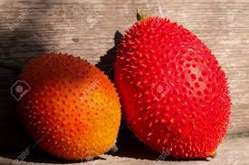 Il complesso dei principi attivi rende il frutto piccolo arancione esotico come un super food pronto ad addurre diversi benefici all'organismo umano Immagini Stock Frutto Della Regione Asiatica La Natura Spinosa E Fresca La Palla E Verde Il Raccolto Sara Rosso Arancio Portare Una Foto Di Succo Di Frutta E Dolce Per Il