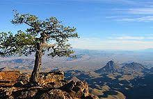 Geographie Du Texas Wikipedia