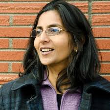 Municipal broadband advocates say Comcast lawsuit proves need for public  internet service