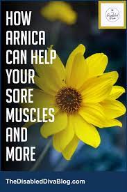 Pin On Fibromyalgia Resources