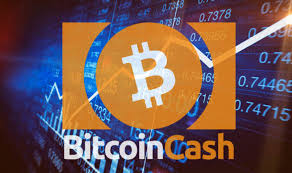 On this page we present a bitcoin return calculator. What Is Bitcoin Cash All You Need To Know About The Cryptocurrency City Business Finance Express Co Uk