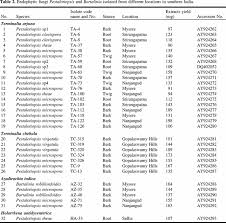 Image result for Schizozygia coffaeoides