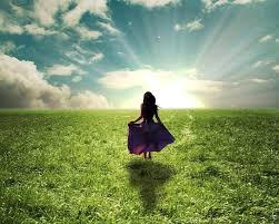 Resultado de imagem para harmonia