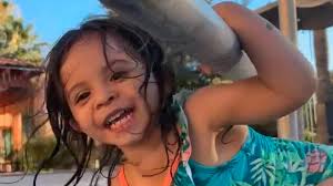 Fundraiser by Shawna Harmon : Help Keep Seraya Safe