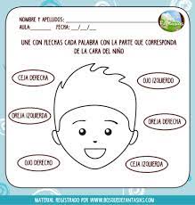 Fichas De Lateralidad Hoja 6 Imprimibles Para Preescolar Actividades Para Preescolar Ejercicios Para Preescolar