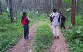 Bambu, angkringan, gunug rowo, gunung rowo, gunung rowo bergoyang, hijab, gicel, gisel, model surabaya,. Cerita Horor Youtuber Saat Telusuri Lokasi Kkn Di Desa Penari