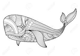 Free printable stress coloring pages for adult. Pattern Vector Whale For Adult Anti Stress Coloring Pages Ornamental Royalty Free Cliparts Vectors And Stock Illustration Image 72949863