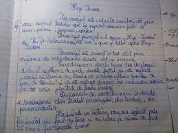Se pregatesc fel de fel de bucate traditionale: Rooster Assume Profession Compunere Despre O Zi In Care Totul A Mers Prost Whisksandwit Com