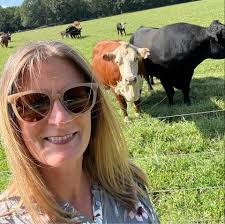 Mountain views from Giant Ledge, Sunset Rock, and Catskill Mnt  House/Boulder Rock trails?