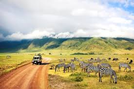 Uncover Africa's Wonders: Exceptional Safaris - Safari Tour