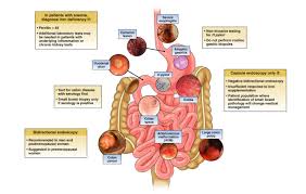 Image result for Anemia angolensis