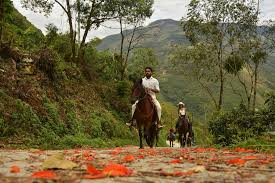 Guayabetal es un municipio colombiano del departamento de cundinamarca. Quipa Guayabetal Home Facebook