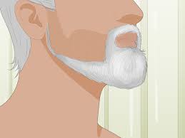 You can trim stray hairs, and around the edges of the beard, to maintain a neater look, but you need to commit to not shaving until you are satisfied with the results. 3 Ways To Grow Facial Hair Fast Wikihow