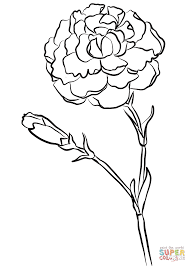 Carnation Chomley Farran Coloring Page Free Printable Coloring Pages Carnation Drawing Flower Coloring Pages Pencil Drawings Of Flowers