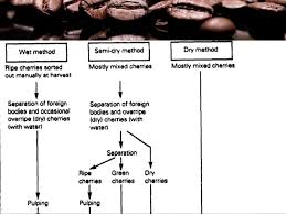 Coffee Processing Technology