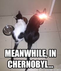 Meanwhile Chernobyl
