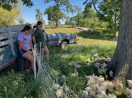 Iowa Farm Fresh Meat