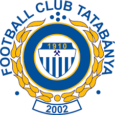 Pin Auf Loghi Di Calcio