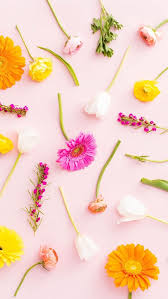 1920x1200 great pink flower wallpaper laptop/phone backgrounds pinterest 1919ã—1350 desktop flower backgrounds (. Desktop Wallpaper Flowers Pinterest