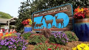 Bergen County Zoo Friends Of The Bergen County Zoo Home