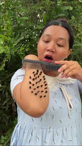 Survival Skills for Single Moms in the Forest