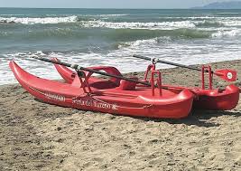 Trend Google: viareggio
