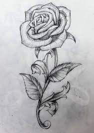 Rose And Stem Roses Drawing Rose Sketch Rose Drawing Tattoo