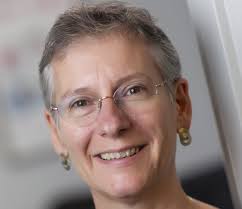 Organization Theory for Implementation Science (OTIS)