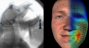 Symposium: the evolution of vocal and facial expressions