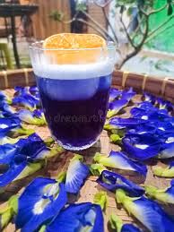 Image result for Clitoria ternatea