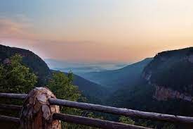 We did not find results for: Classic Pioneer Camping Cloudland Canyon Fri Apr 7 2017