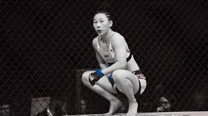 Low blows in women's MMA: An insider's view￼ - The AllStar