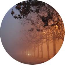 Find great deals on gifts this holiday season. Lucid Dream Yoga The Path Of Awakening Through Sleep And Dream Fremont Seattle