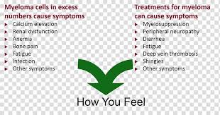 Myeloma Bone Disease Multiple Myeloma International Myeloma