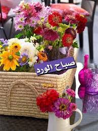 ومع هذا الصباح الجميل ع ط ر الله ي و م ك م ب الح ب و الس لام و أ م ط ر الد ن ي ا good morning roses good morning flowers good morning greetings