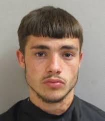 Plea deal resolves felony cases against teen