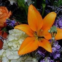 Judith Ferrell Obituary