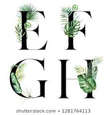 Letter u with tropical floral pattern. Black Tropical Floral Alphabet Set Letters E F G H With Flowers Bouquet Composition Unique Collectio Floral Typography Family Tree Project Floral Letters