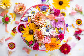 And for certain occasions, it can actually make financial sense to forget about going faux. Flower Power Cake Green Kitchen Stories