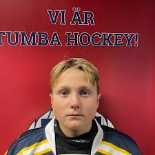 Team Södertälje SK