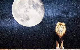 1jaiz4 și 138 alți utilizatori consideră că acest răspuns este de ajutor. Ce SÄƒ Nu Faci De Luna PlinÄƒ Din 28 Ianuarie 2021 Cum AfecteazÄƒ Fiecare Zodie Actualitate Viva Ro