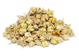 Image result for Tribulus terrestris