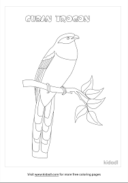 Seuss day or anytime you want! Snowy Owl Coloring Pages Free Birds Coloring Pages Kidadl