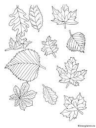 blaadjes kleurplaat coloriage feuille automne feuilles a colorier compte-gouttes