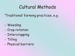 Reyes, czarina gricell reyes, clark andrei romero, marielle salandanan, angelica salazar,isabella group 5. Today We Are Covering From The Specification Types Of Pest Control Cultural Practices Chemicals Biological Control Integrated Pest Management Ipm Ppt Download