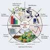 Istan experiences significant variation in pest and vector issues. Https Encrypted Tbn0 Gstatic Com Images Q Tbn And9gctftsfnxpyrdcjb9p0wqquidqedk6gpff5qk Gd9crp7i9sqdqc Usqp Cau