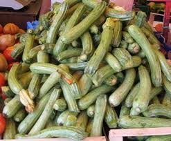 After picking, place them immediately in try sugar cane mulch, lucerne hay or pea straw. Germplasm Enhancement Of Cucurbita Pepo Pumpkin Squash Gourd Cucurbitaceae Progress And Challenges Springerlink