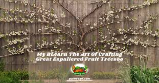 To train fruit trees into these forms you would need to start with very young, unbranched trees called whips. Learn The Art Of Crafting Great Espaliered Fruit Trees