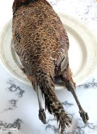 Paloma, zorzal y cuervo | cofia de reclamos para palomas torcaces diseñados para la caza de palomas. Como Desplumar Un Faisan Una Perdiz O Cualquier Ave De Caza