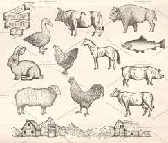 Farm Animals Engraving Collection Farm Animals Animals Farm Art